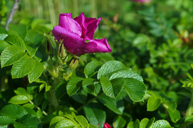 Similar image 21645181