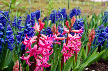 Similar image 21645182