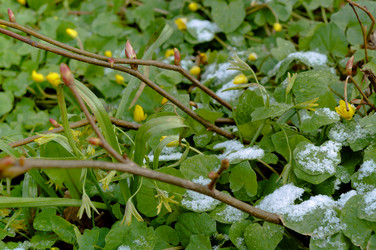 Similar image 21645186