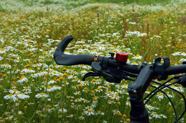 Similar image 21645190