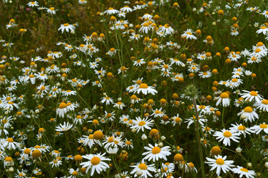 Similar image 21645192