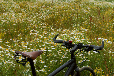 Similar image 21645195