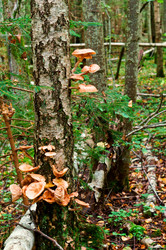 Similar image 21645197