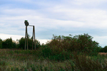 Similar image 21645199