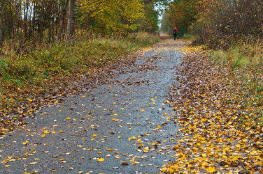 Similar image 21645539