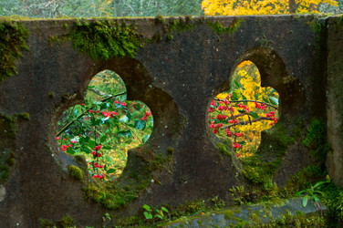 Similar image 21645542