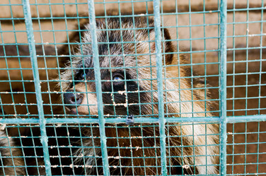 Similar image 21645543