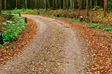 Similar image 21645544