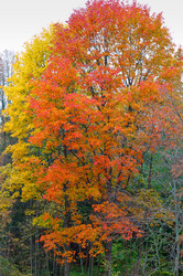 Similar image 21645549