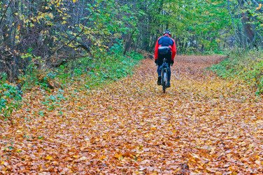 Similar image 21645552