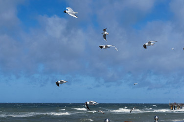 Similar image 21645557