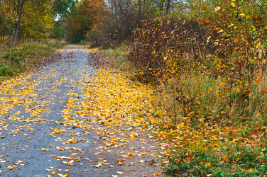 Similar image 21645558