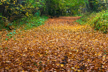 Similar image 21645560