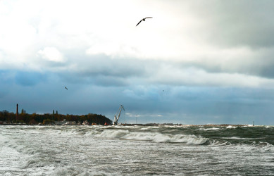 Similar image 21645782