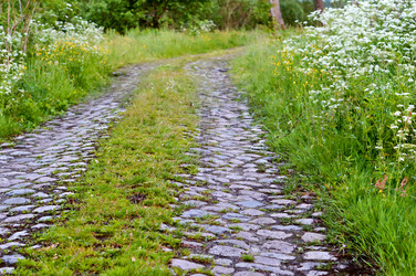 Similar image 21645793