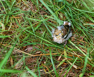 Similar image 21645797