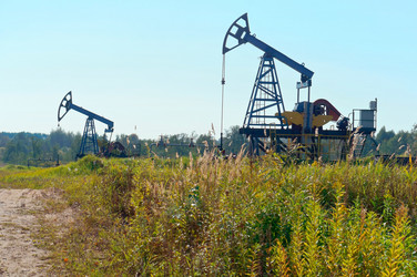 Similar image 21645800