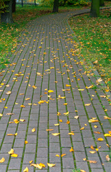 Similar image 21645804