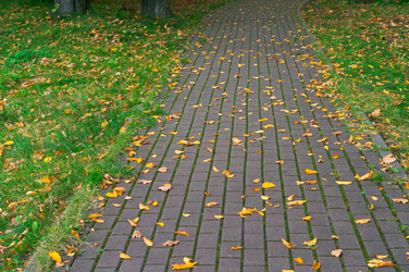 Similar image 21645812