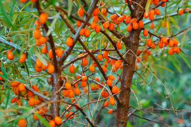 Similar image 21645813