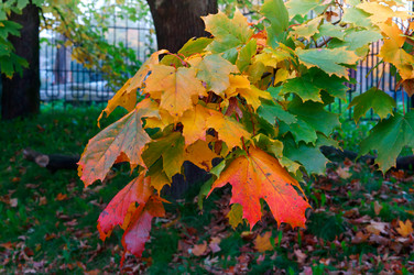 Similar image 21645821