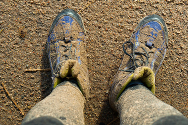 Similar image 21645823