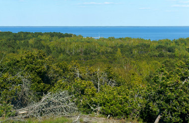 Similar image 21645826