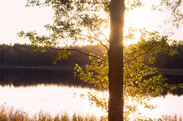 Similar image 21645829