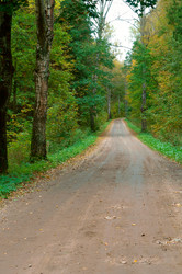 Similar image 21645830