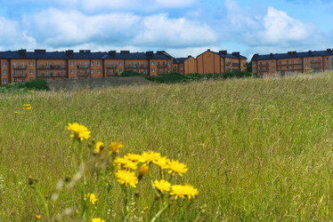 Similar image 21645840