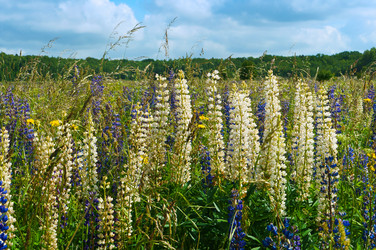 Similar image 21645844