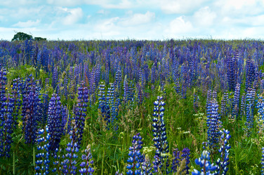 Similar image 21645848