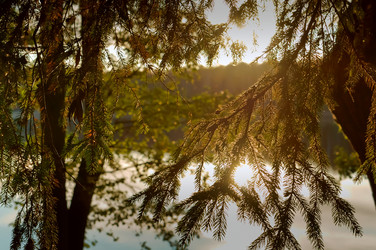 Similar image 21645849