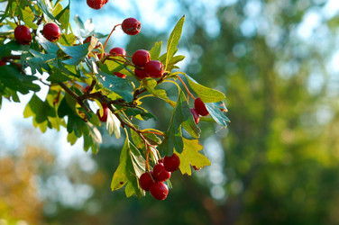 Similar image 21645865