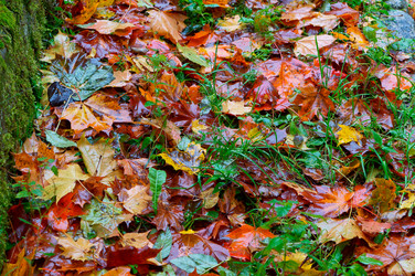 Similar image 21645867