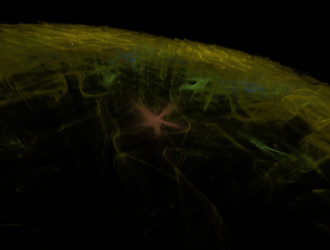 Similar image 21636866