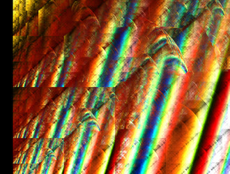 Similar image 21636870