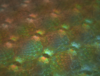 Similar image 21636877