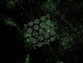 Similar image 21636674