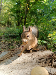 Similar image 21631616