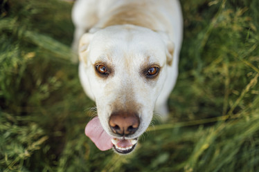 Similar image 21638217