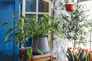 Similar image 21638248