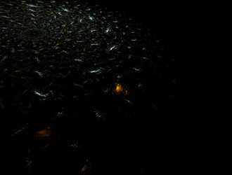 Similar image 21636687