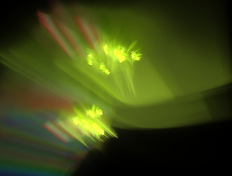 Similar image 21636707