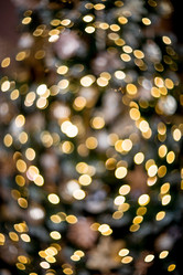 Similar image 21638265