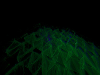 Similar image 21636719