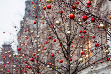 Similar image 21638274