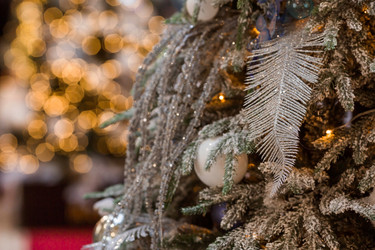 Similar image 21638289