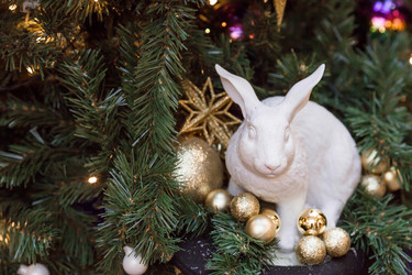 Similar image 21638299