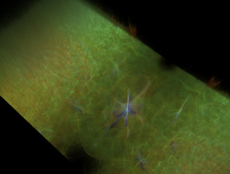 Similar image 21636906